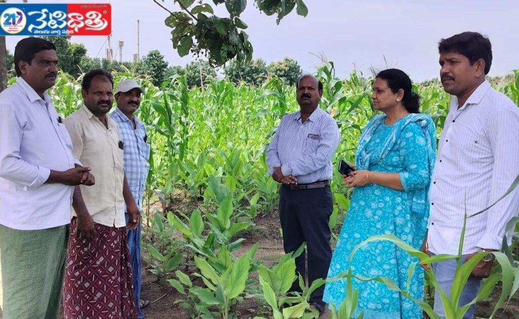 ADA Inspects Turmeric-Maize Crops in Togarrai
