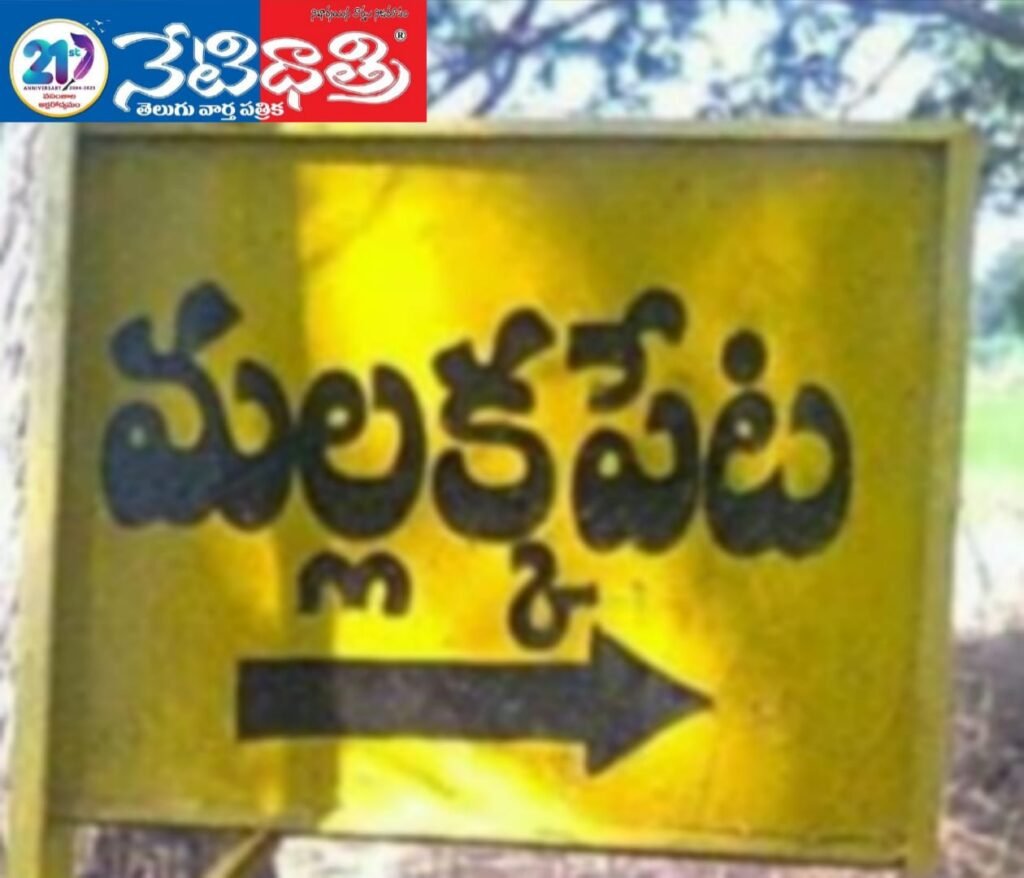 Free Medical Camp in Mallakkapeta