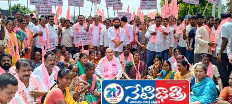 "TDP Extends Support to Narsapur Hunger Strike"