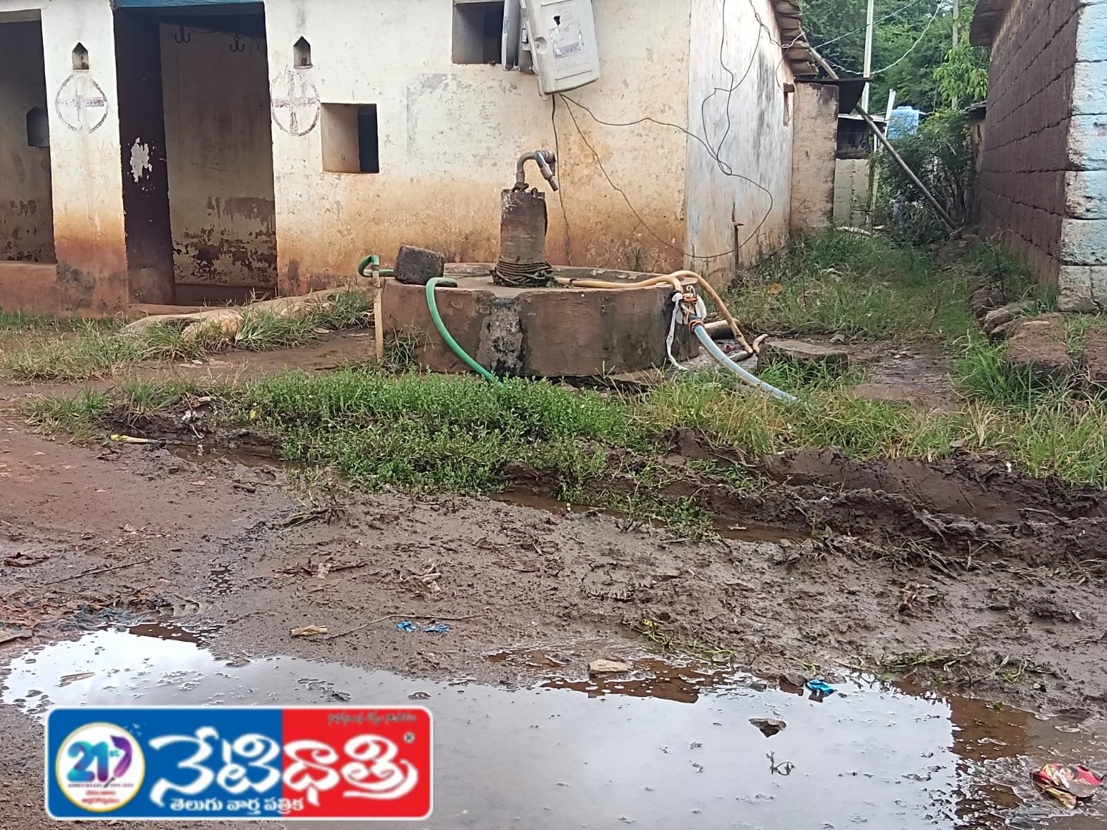Suffer Due to Poor Sanitation