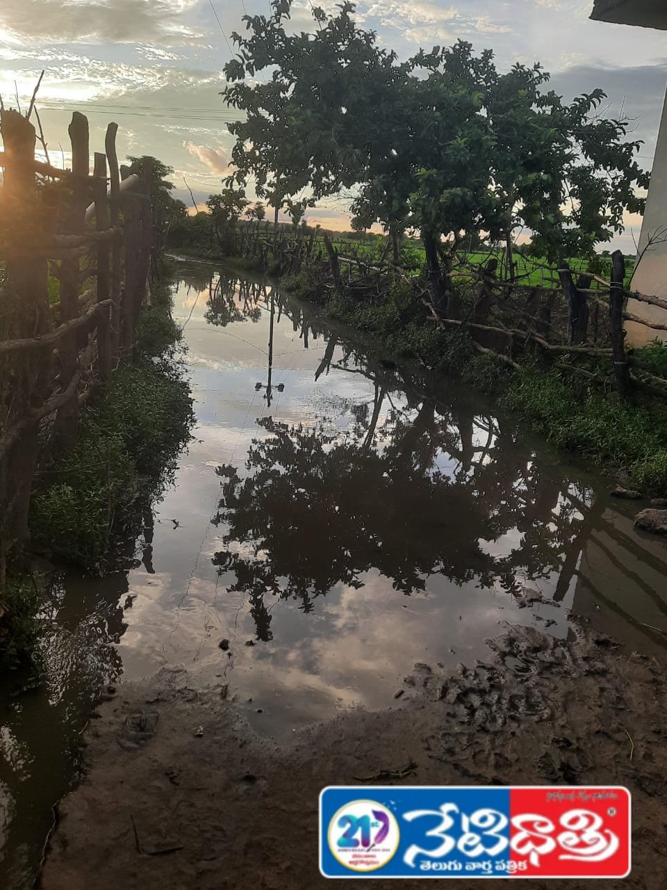 Sanitation Neglected in Mahadevpur