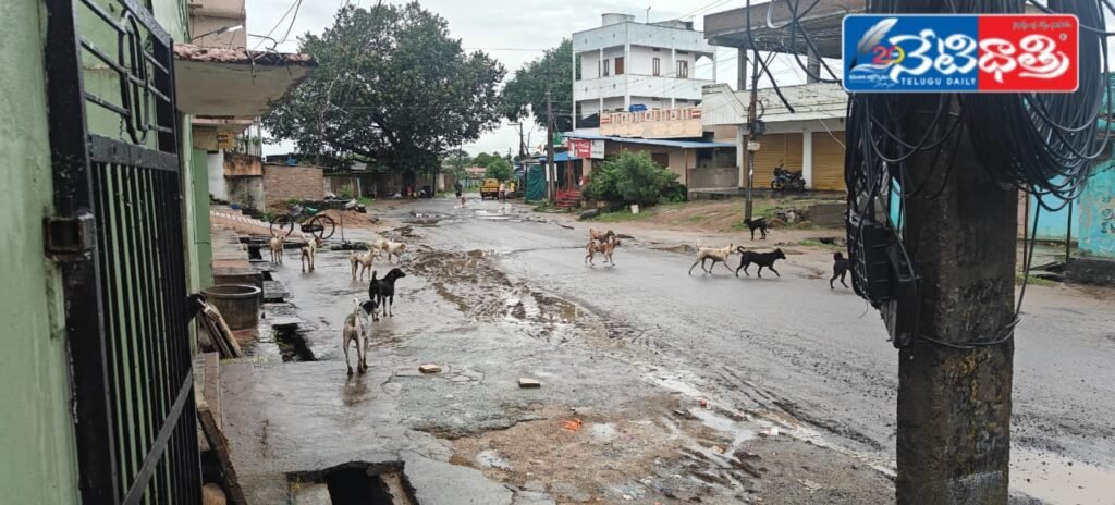 Stray Dogs Terrorize Kesamudram Streets