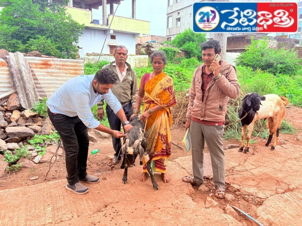 PPR Vaccine Camp for Sheep and Goats