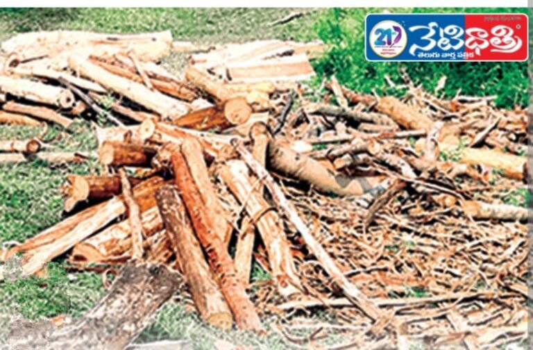 "Stop Illegal Timber Trade"