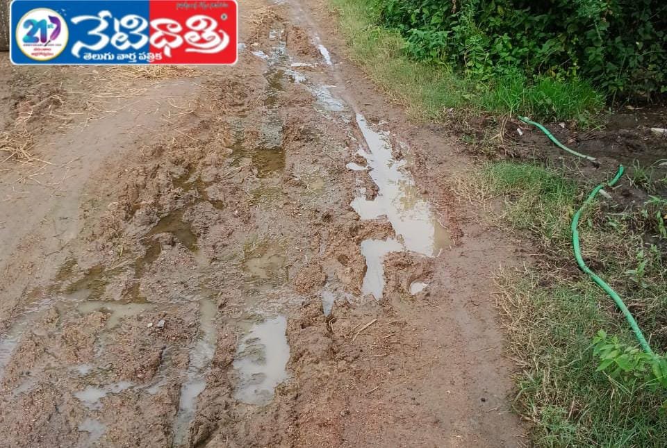 "Villagers Suffer as Roads Turn into Potholes"