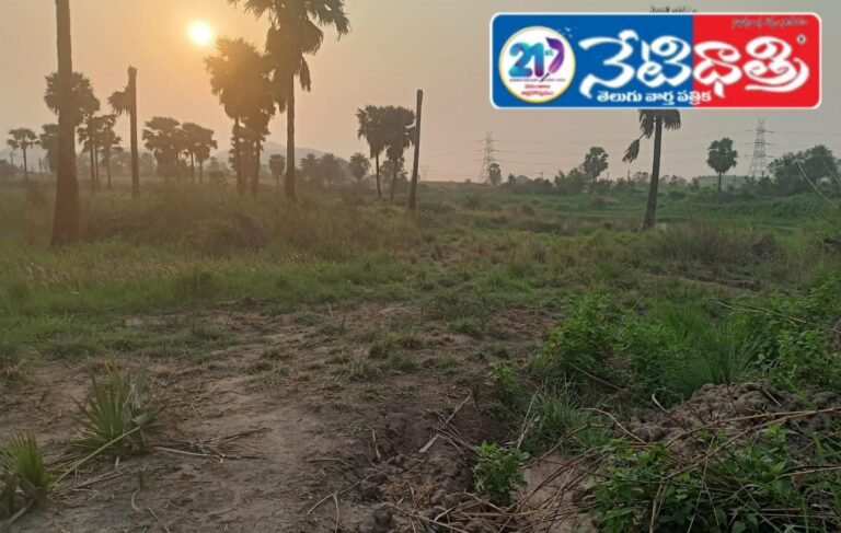 Neredupalli Villagers Await Long-Pending Bridge