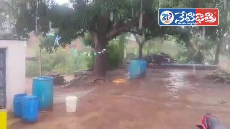 Heavy Rains Damage Crops in Zaheerabad, Farmers in Distress