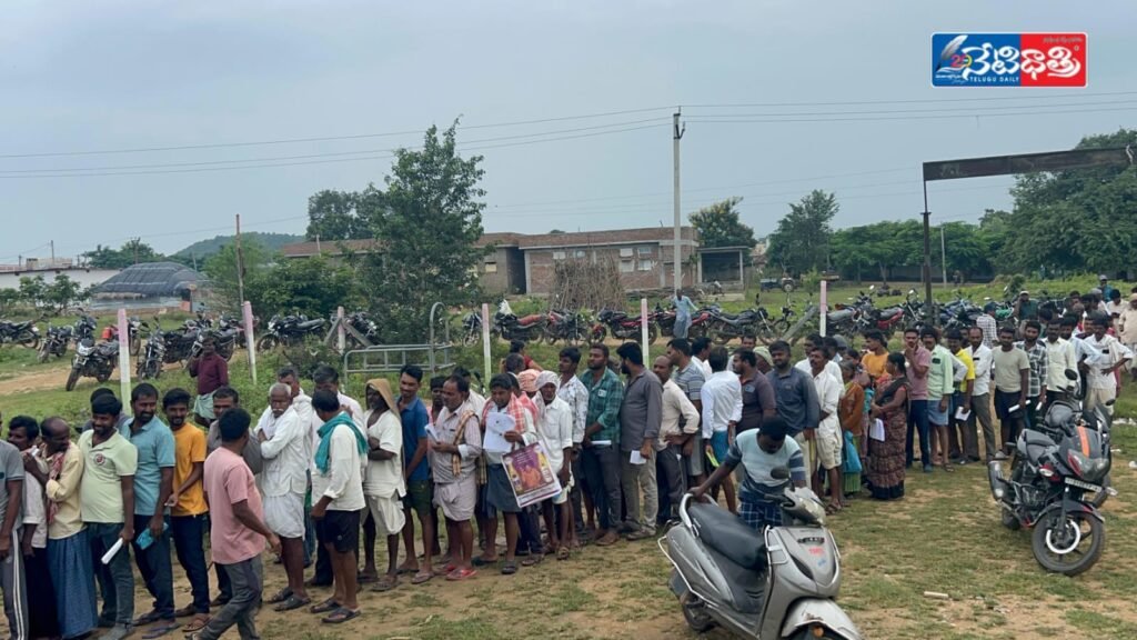 Farmers Struggle for Urea in Ramayampet