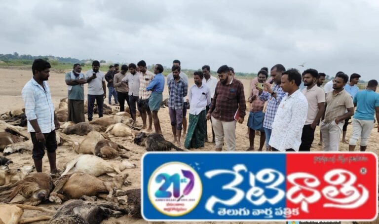 Lightning kills 94 sheep in Mahadevpur