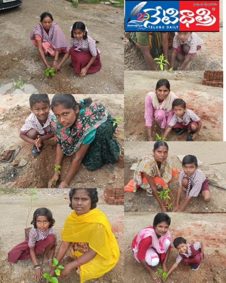 One Tree for Mother program at school
