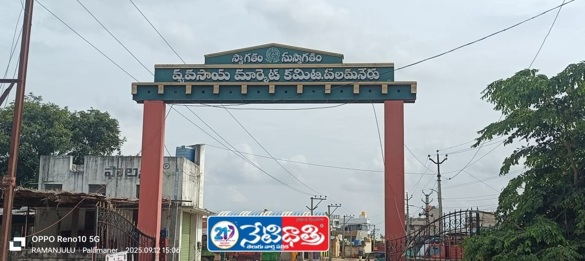 పలమనేరు మార్కెట్‌లో రైతుల ఆవేదన…