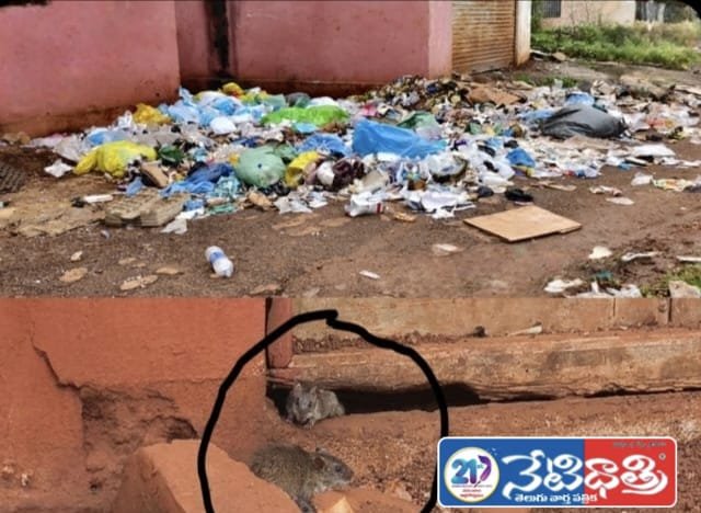 Unhygienic Conditions in Zaheerabad Hospital
