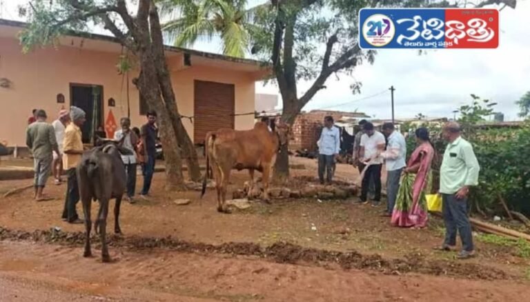 Rabid Dog Attack on Cattle in Bardipur