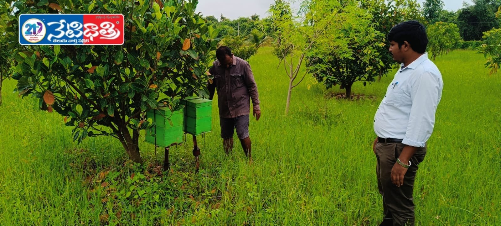 Bhupalpalli Farmers to Receive Subsidies for Beekeeping