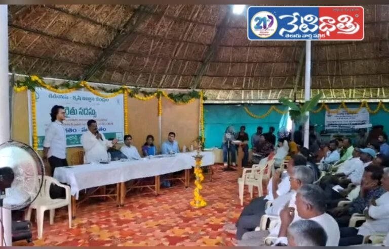 Millets Bring Profits to Farmers