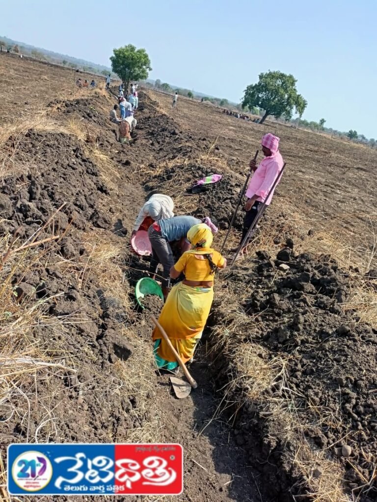 "Field Assistants Await Salaries"