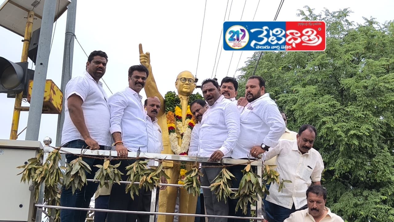Palamaneru Auto Drivers Rally Celebrates Welfare Scheme