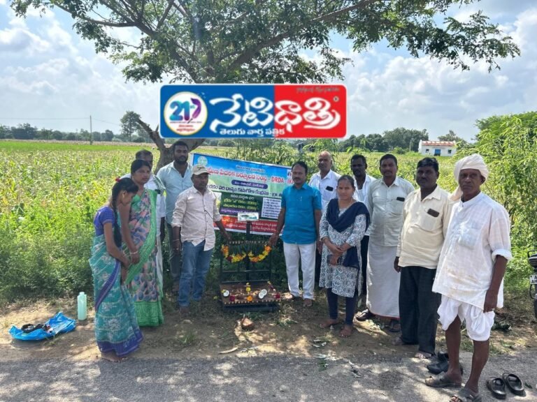 Central teams visited Nizampet...