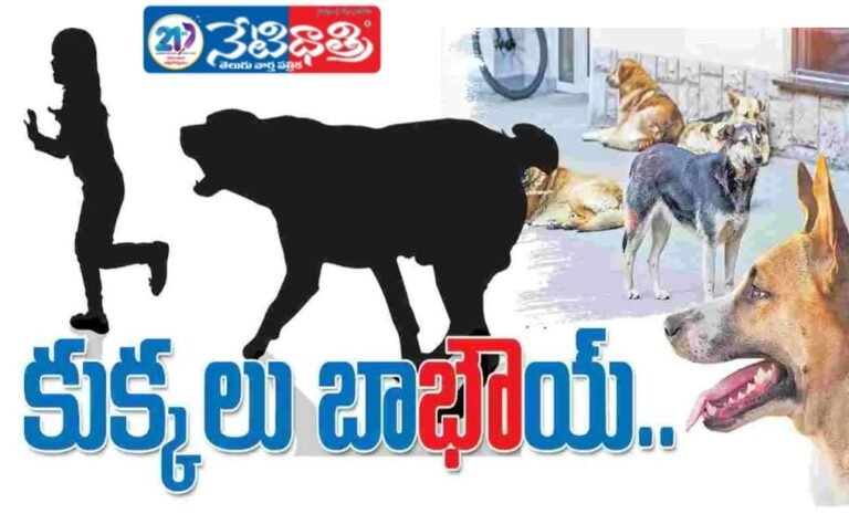 Two Arrested in Paddy Scam