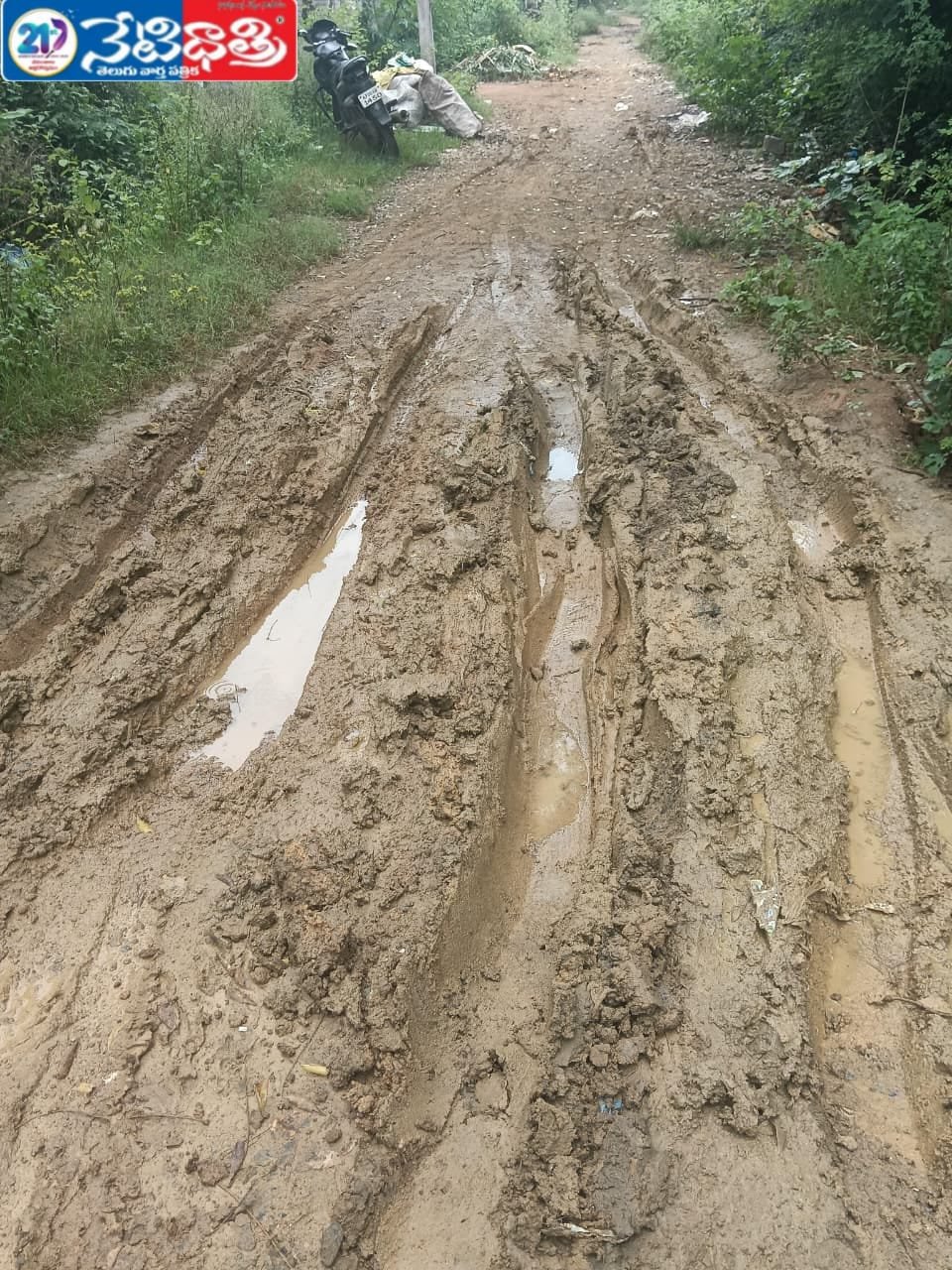 Narsampet Ward 1 Roads in Poor Condition, Councilor Demands Action