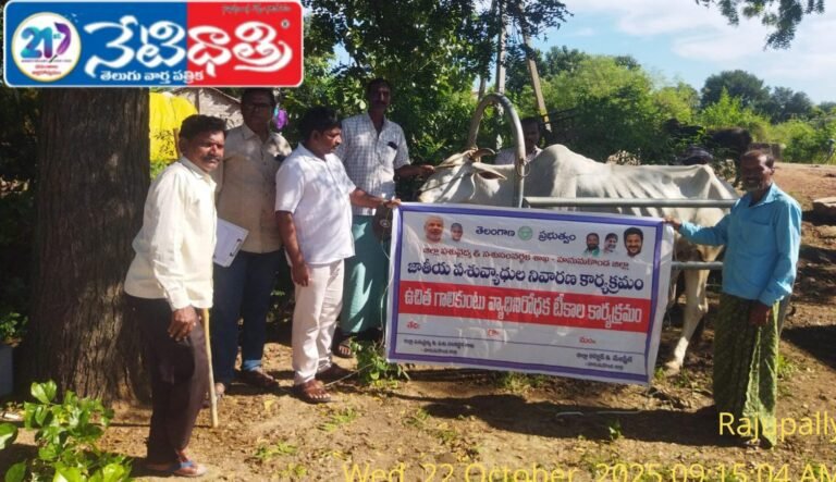 Veterinary Camp Conducted for Cattle in Rajupalli