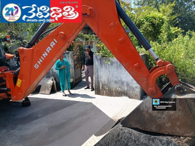 Strict Action on Illegal Constructions in Parakala