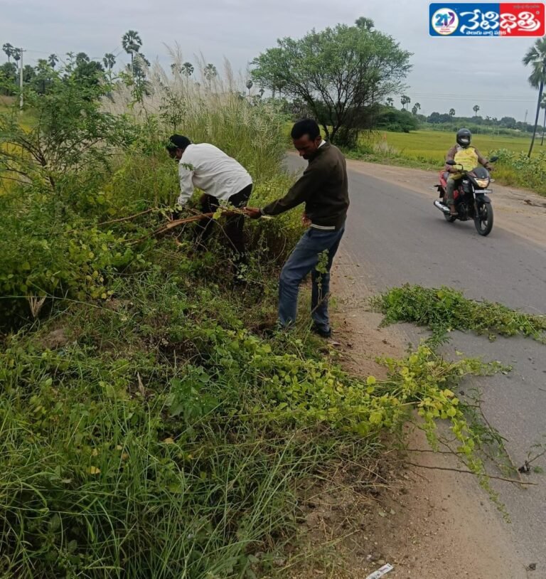 BJP Leader Removes Hazardous Trees for Road Safety
