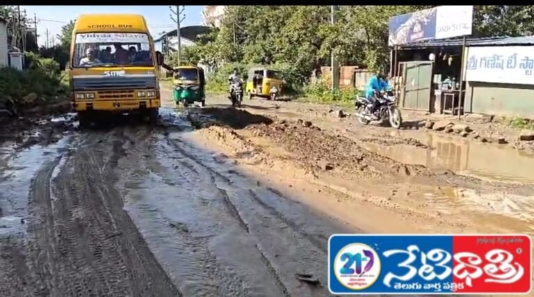Deadly Potholes Trouble Drivers in Warangal