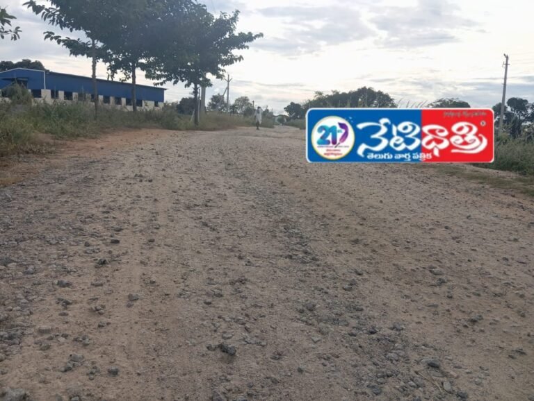 Villagers Demand Road Repairs After Two Years of Neglect