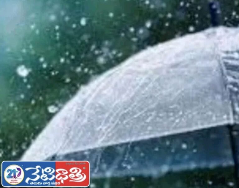 Heavy Rain Paralyzes Life in Zaheerabad