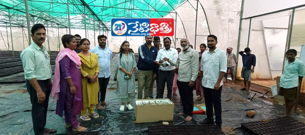 Oil Palm Nursery Launched in Medak.