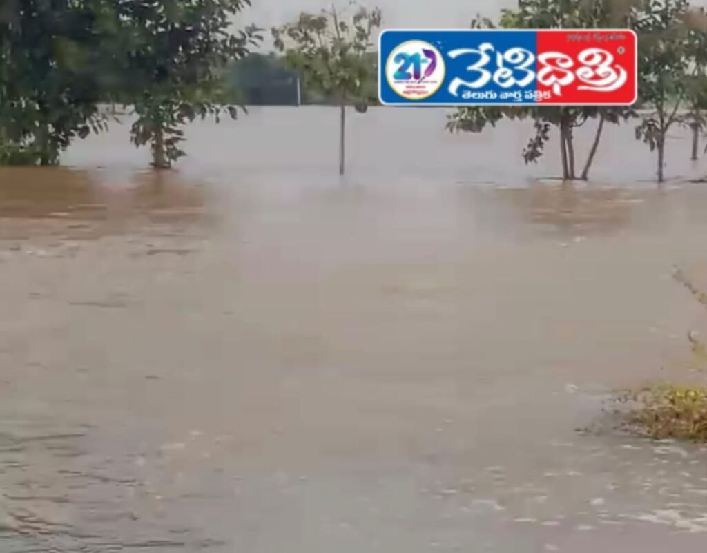 Montha Cyclone Havoc in Nekkonda — Farmers Devastated