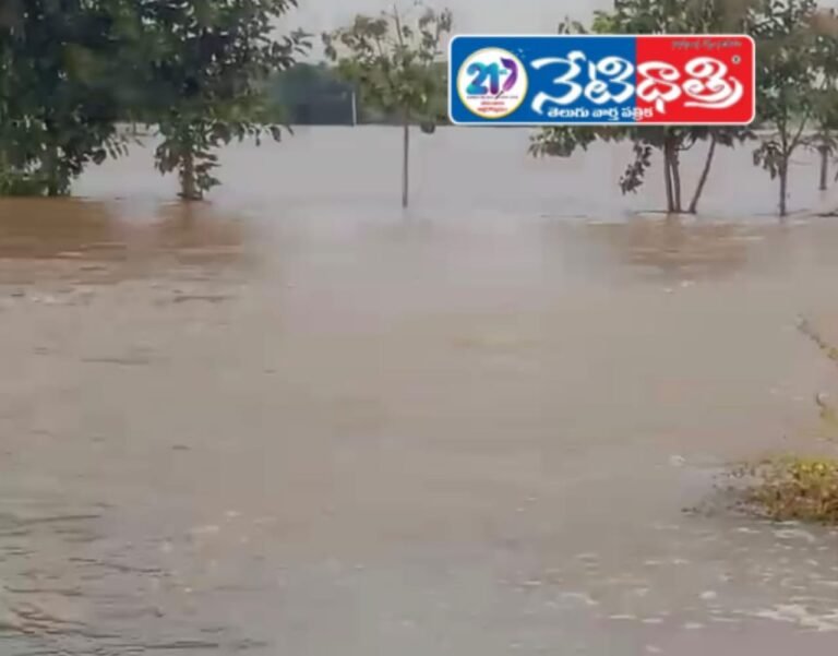 Montha Cyclone Havoc in Nekkonda — Farmers Devastated