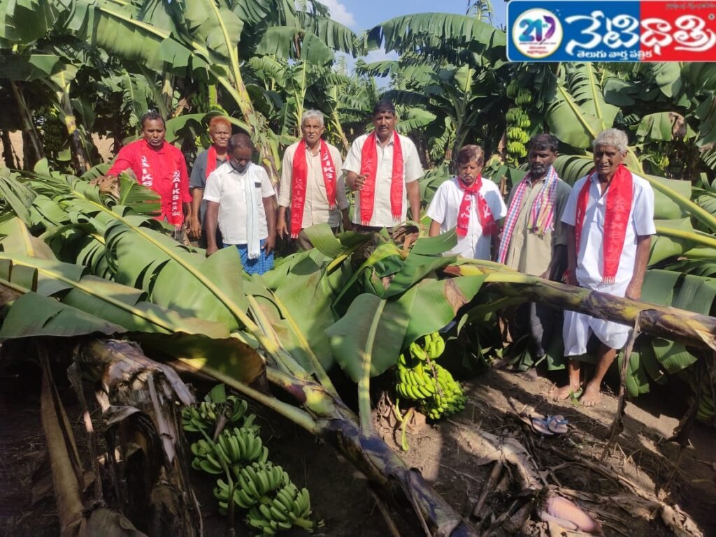 Farmers demand compensation for cyclone crop loss