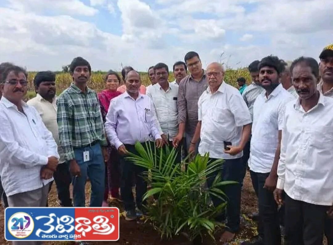3, 750 ఎకరాల్లో పామయిల్ సాగు లక్ష్యం….