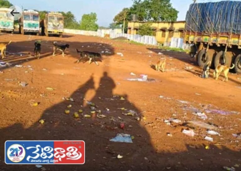 Stray Dogs Create Panic in Shekhapur