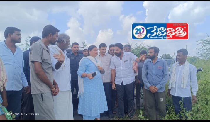 Collector Reviews Crop Loss in Nekkonda