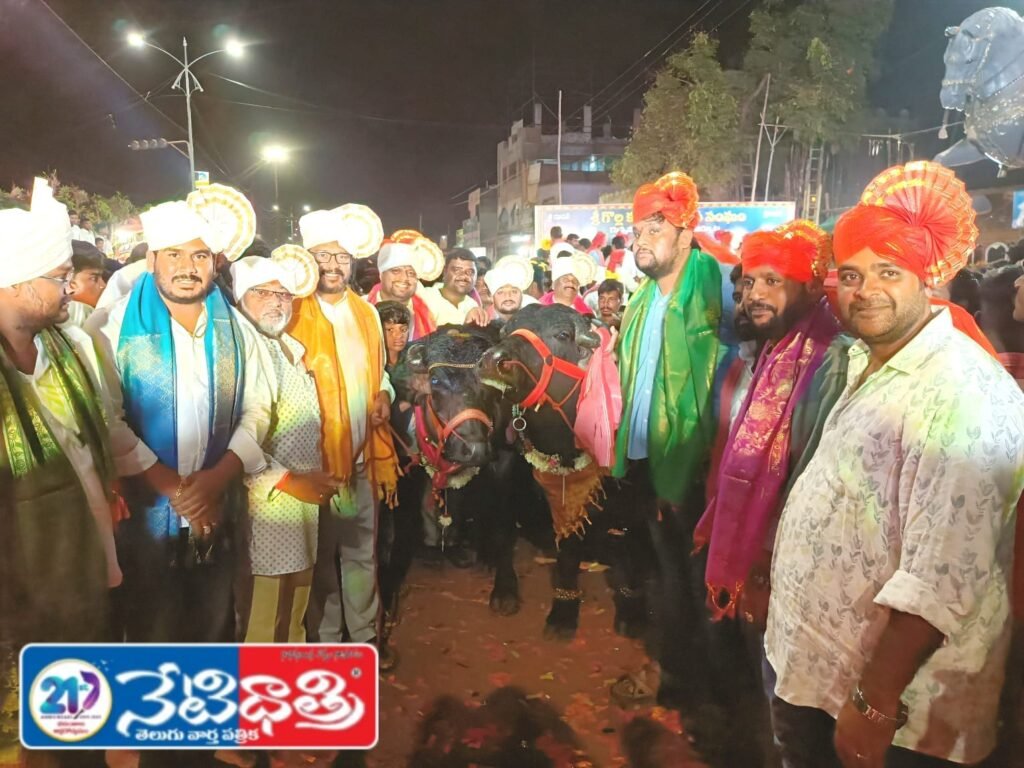 WhatsApp Image 2025-11-03 at 11.54.46_bb007dc4