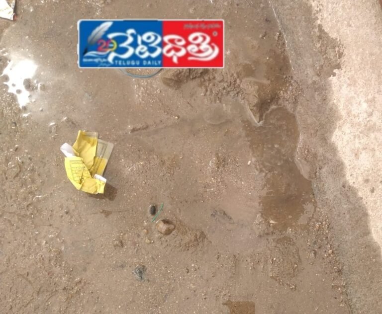 WhatsApp Image 2025-11-03 at 12.21.48_6c48b7db