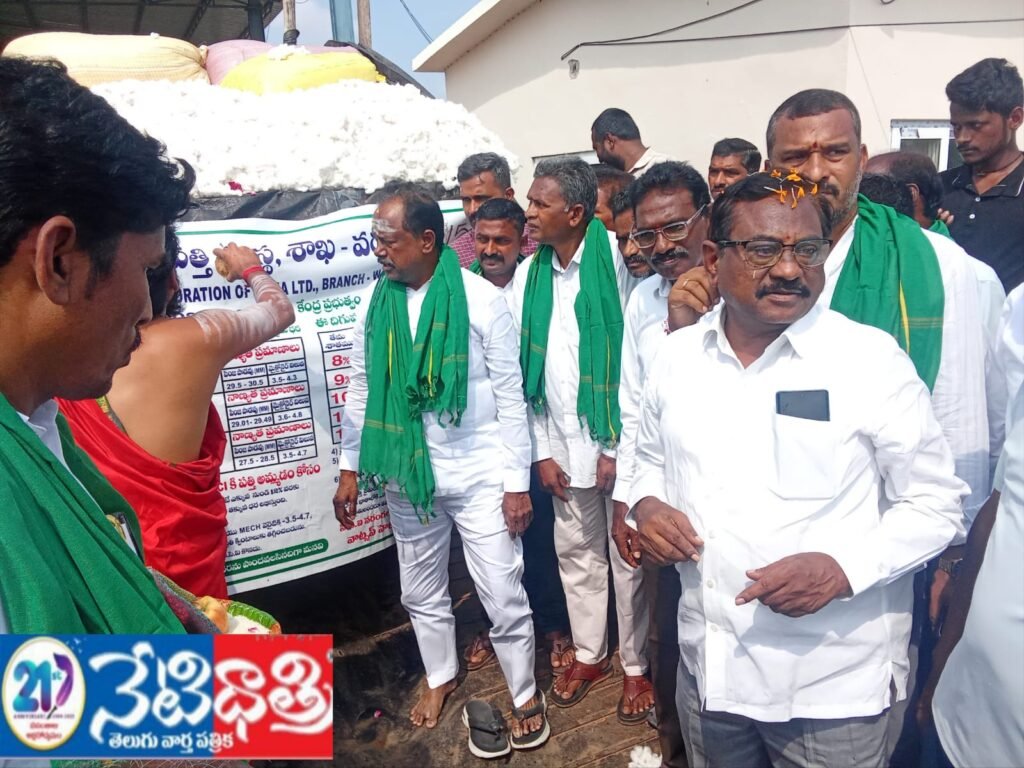 WhatsApp Image 2025-11-03 at 15.21.50_f4cf89ee