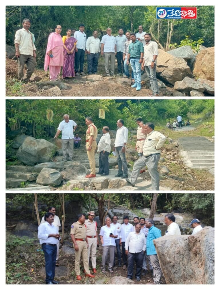 WhatsApp Image 2025-11-03 at 16.31.14_6cd54e57