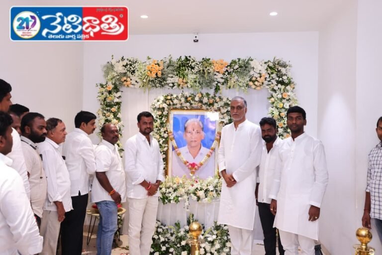 WhatsApp Image 2025-11-03 at 16.47.03_43e8ec7c