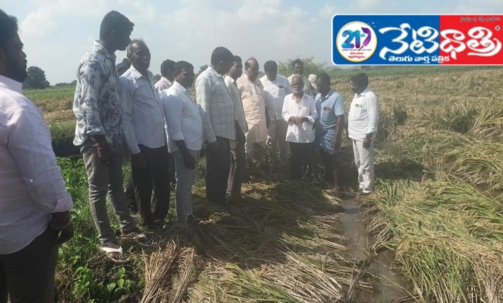 Paddy Fields Submerged — Farmers in Tears