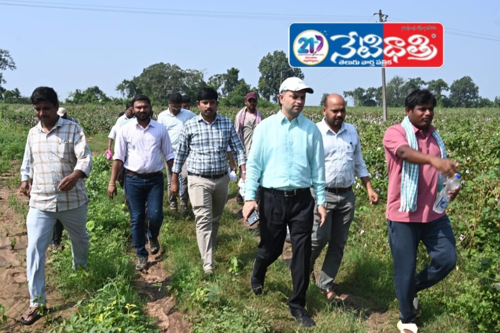 Collector Inspects Storm-Hit Crops in Lenkalagadda