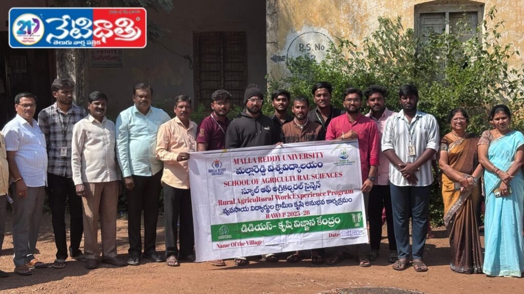 High-Quality Seeds Ensure Healthy Crops