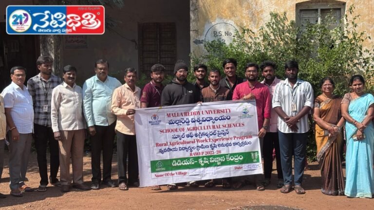 High-Quality Seeds Ensure Healthy Crops