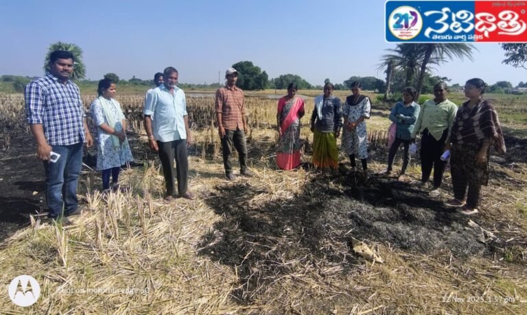 Paddy Straw Burning Awareness