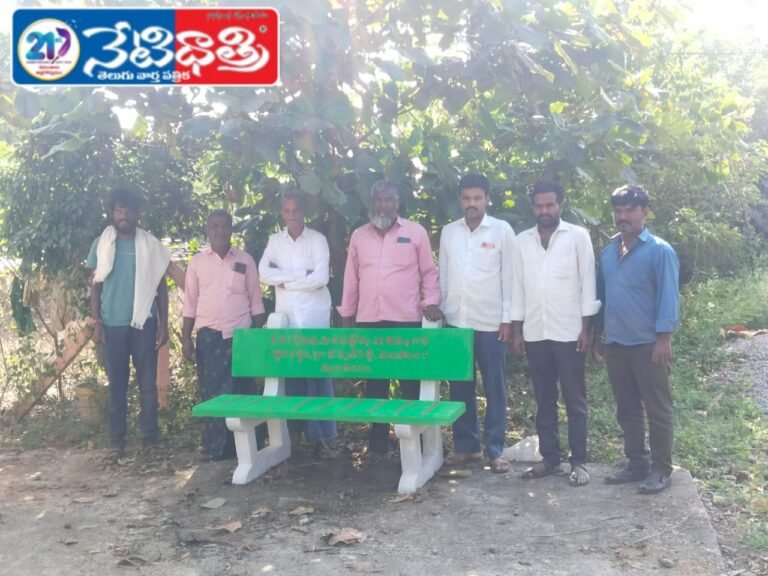 Distribution of cement benches in memory of mother