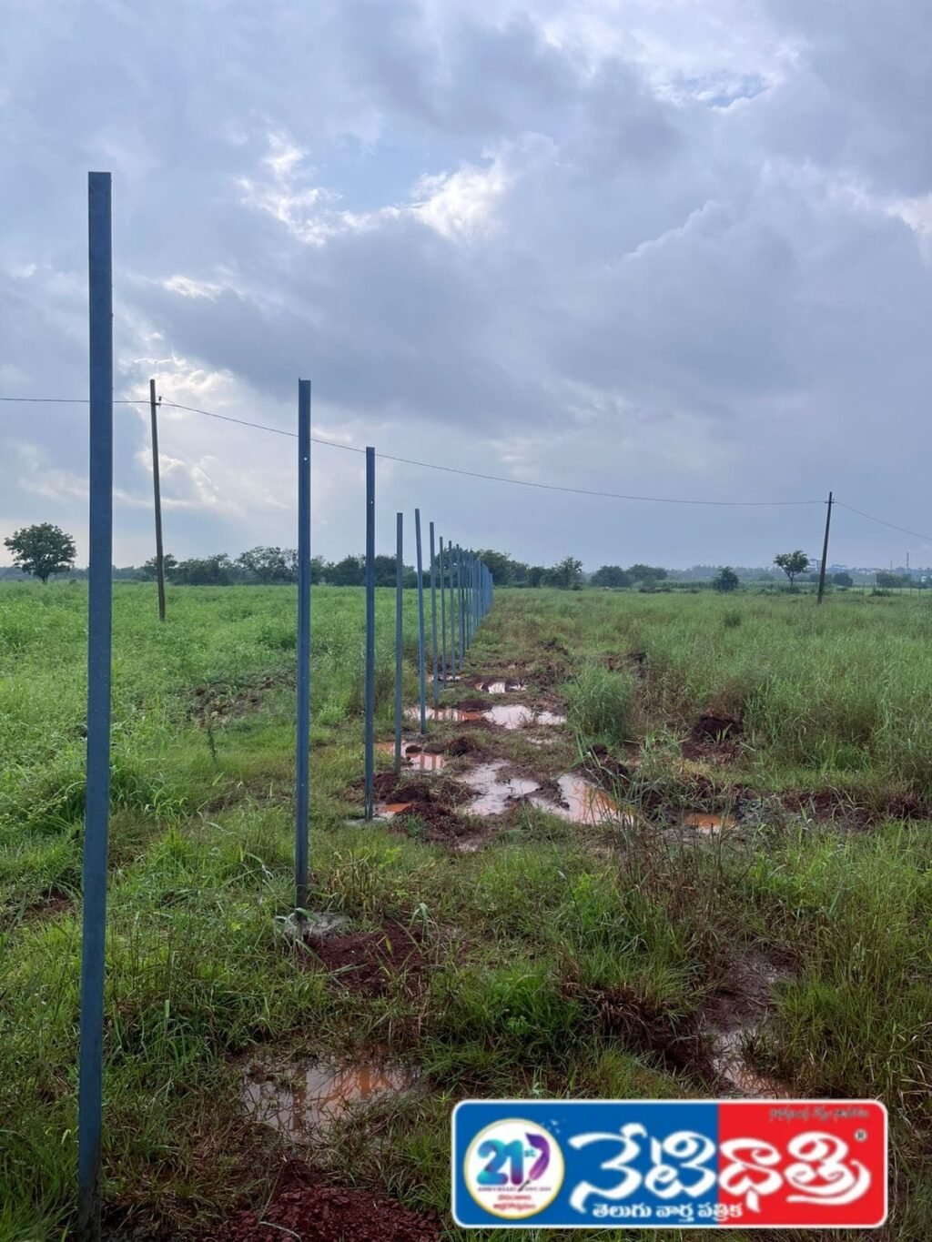 Illegal Sale of Assigned Land in Kaveli