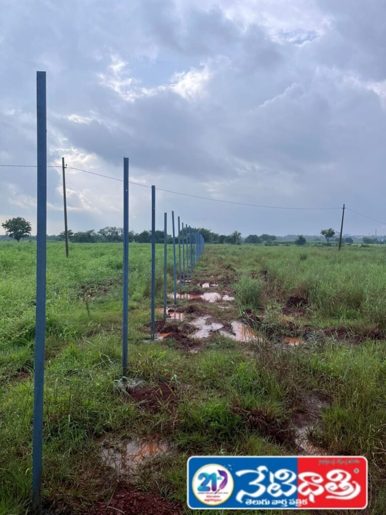 Illegal Sale of Assigned Land in Kaveli